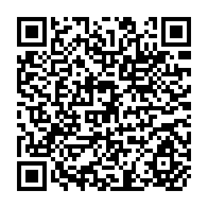 QR Code for Cashew nut Processing