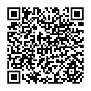 QR Code for Externalities in theTransformation of Agriculture : Distribution of Benefits and Costs from Development