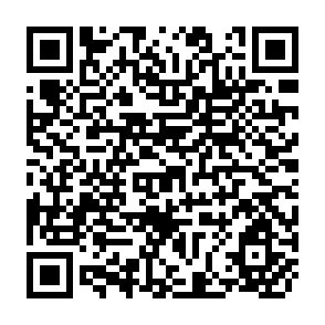 QR Code for Curcial Elements of Successful Community Natrition Programs