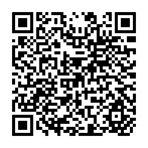 QR Code for People's Movements in Environmental Politics: A Critical Analysis of the Narmanda Bacho andolan in India