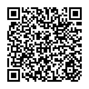 QR Code for The Economic And Social Impact of Adjustment In Africa : Further Empirical Analysis