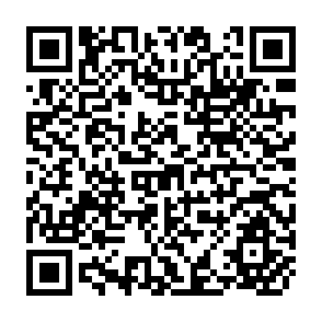 QR Code for Beyond Income Distribution: An Entitlement Systems Approach to the Acquirement Problem