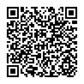 QR Code for Is The Vietnamese Miracle in Trouble?