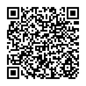 QR Code for Poverty and Human Development: What Does the Future Hold?