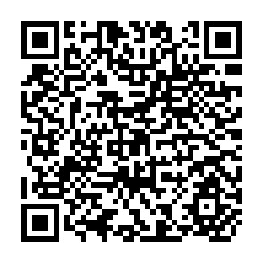 QR Code for Getting the Signals Right: