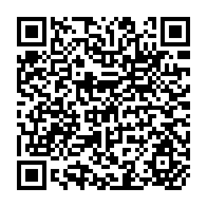 QR Code for Investing in the Future: Harnessing Private Capital Flows for Environmentally Sustainable Development