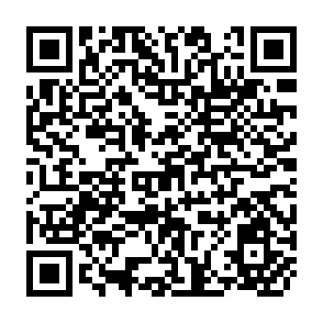 QR Code for Taking a Stand: Cultivating a New Relationship with the world's Forests