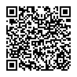 QR Code for Ripples of the Society- People's Movement in Watershed Development in India
