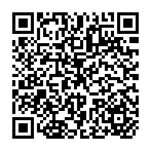 QR Code for Accountability in Development Organizations