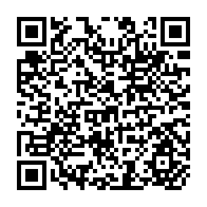QR Code for Measuring the Degree of Competition in the U.S. Milk Market
