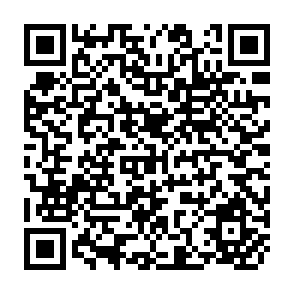 QR Code for Food FromPeace Breaking the Links Between Confict and Hunger