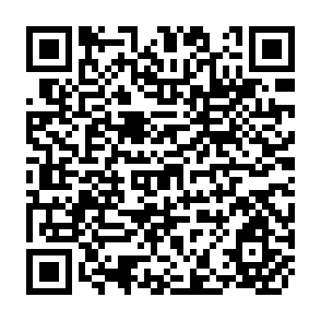 QR Code for Forests and Forest Management in Mongolia