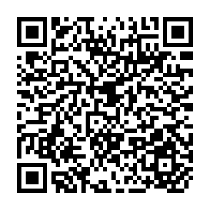 QR Code for Non-Wood Forest Products: Tropical Palms