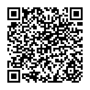 QR Code for Multinationals and East Asian Integration