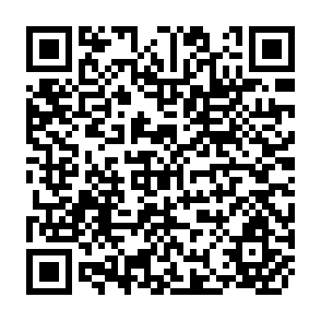 QR Code for The Progress of Nations