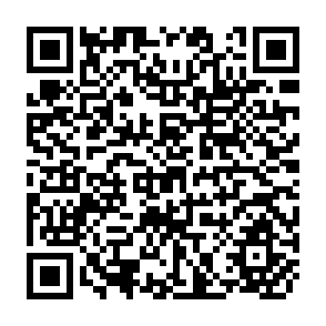 QR Code for Losing Strands in the Web of Life