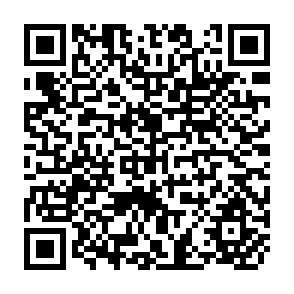 QR Code for Irrigation Development and Environmental Degradation in Developing Countries- a Dynamic Model of Investment Decisions and Policy Options