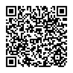 QR Code for Demand Elasticities in Rural Bangladesh: An Application of the AIDS Model