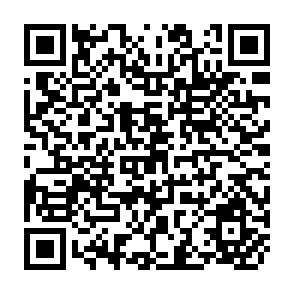 QR Code for The Egyptian Food Subsidy System : Operation and Effects on Income Distribution