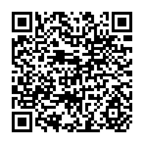 QR Code for Male-Female Differences In Agricultural Productivity: Methodological Issues And Empirical Evidence