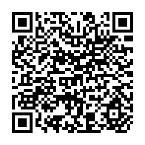 QR Code for Developing Decenpralized Capacity for Development Policy Analysis : Lessons for Agricultural Development from Food Security and Nutritions Monitoring in Malawi