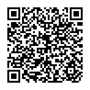 QR Code for The WTO Agreements: Deficiencies, Imbalances and Required Changes