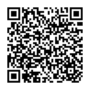 QR Code for Postmodernism and the Social Sciences