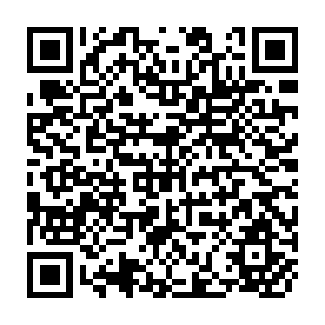 QR Code for Risk, Environment and Modernity
