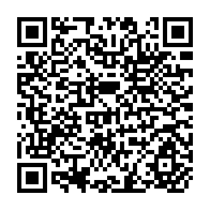 QR Code for How Sampling Works