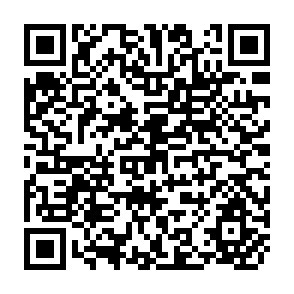 QR Code for Beyond Malthus:Sixteen Dimensions of the Population Problem