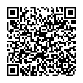 QR Code for Democratisation in south asia The first fifty years