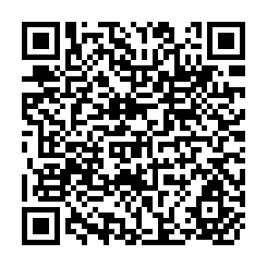 QR Code for Understanding Development