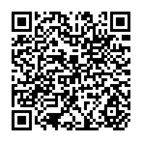 QR Code for The World Food Situation:Recent Developments, Emerging Issues, and Long-Term Prospects