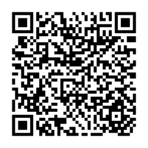 QR Code for Wood Energy Development: Planning, Policies and Strategies - Volume II