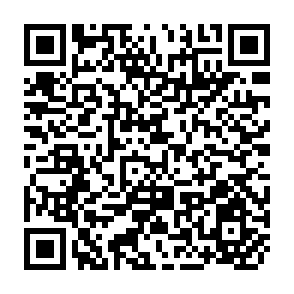 QR Code for Sub-Regional Expert Consultation Improved Cookstove Development Programme in South Asian Countries