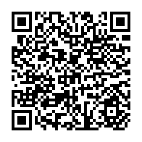 QR Code for Small-Scale Milk Production in Southern Brazil: The Challenges of "Modernisation" with a note on The Rural Workers' Union Movement in Brazil