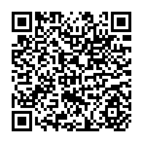 QR Code for Alternatives for Seed Regulatory Reform: An Analysis of Variety Testing, Variety Regulation and Seed Quality Control