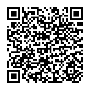 QR Code for Experimenting with Agricultural Extension in Zambia: Care's Livingston Food Security Project