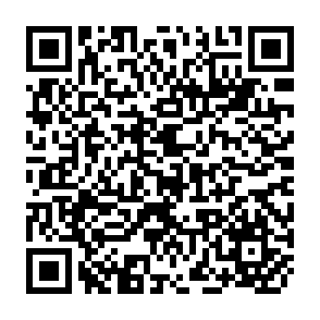 QR Code for The zimbabwe farmers union : Its current and potential role in technology development and transfer