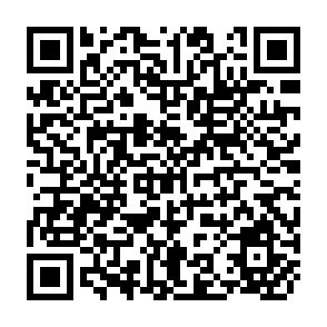QR Code for The Economics of Foreign Aid and Self-Sustaining Development