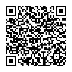 QR Code for Agricultural Sector Adjustment Lending and Agricultural Policy