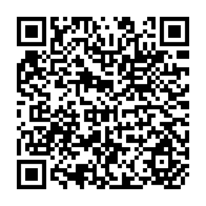QR Code for The Uruguay Round and the Developing Economies