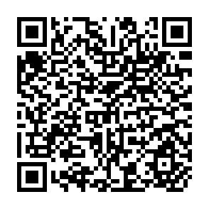 QR Code for Gender Differences in Household Resource Allcations