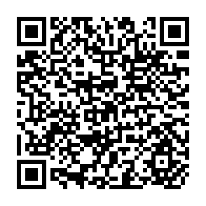 QR Code for Design and Practice of Water Allocation Rules: Lessons from Warabandi in Pakistan's Punjab