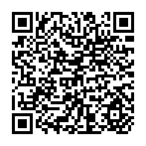 QR Code for Indicators for Comparing Performance of Irrigated Agricultural Systems