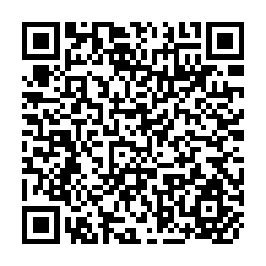 QR Code for Economic Feasibility of Grain Sorghum Production in Hawaii