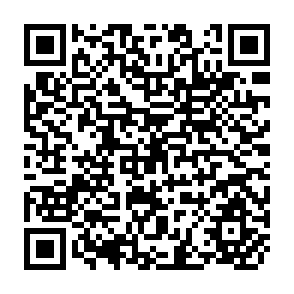 QR Code for The Uruguay round and Agriculture in Southern Africa