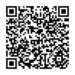QR Code for 1. Food and agricultural sector profiles