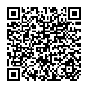 QR Code for Report of the FAO Workshop on Strengthening National Early Warning and Food Information Systems in Asia and the Pacific
