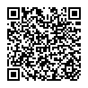 QR Code for The Corporate Planet